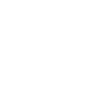 公式Instagramを開く