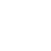公式TikTokを開く