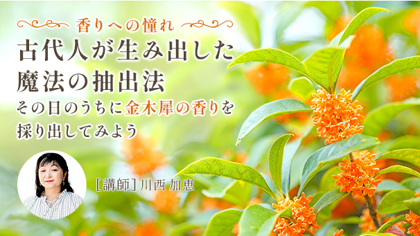 まずチェックしたい最新コンテンツの中身2